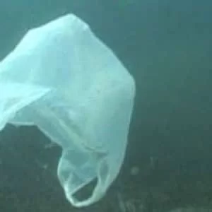 Fantastic Plastic