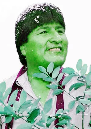 Hoe groen is Evo?