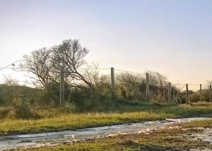 Oranjezon 2