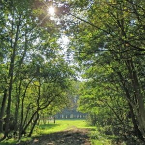 Goudplaat 11 oktober 2015