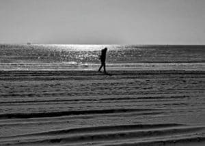 My Secret Garden XII