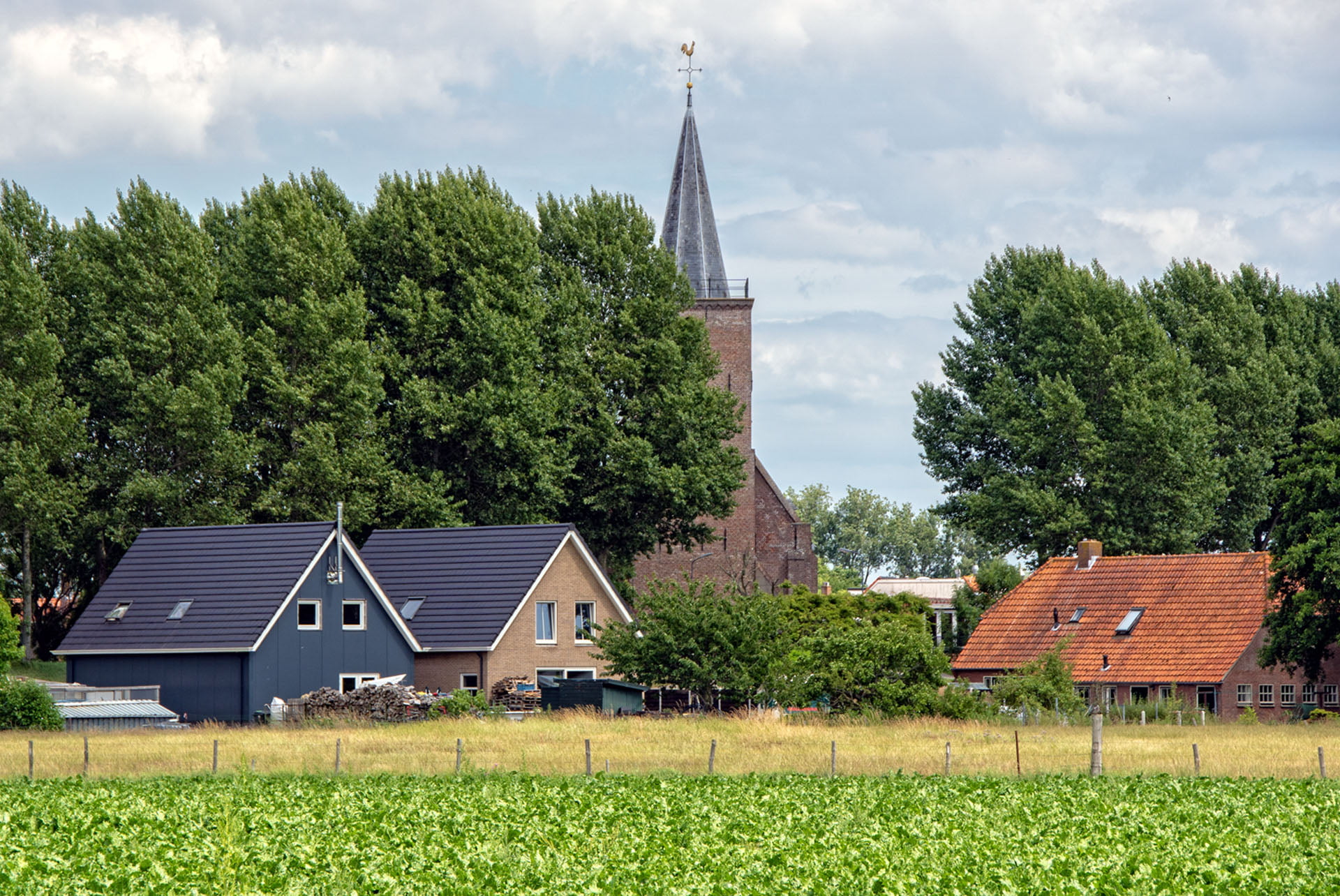Zomer 2022