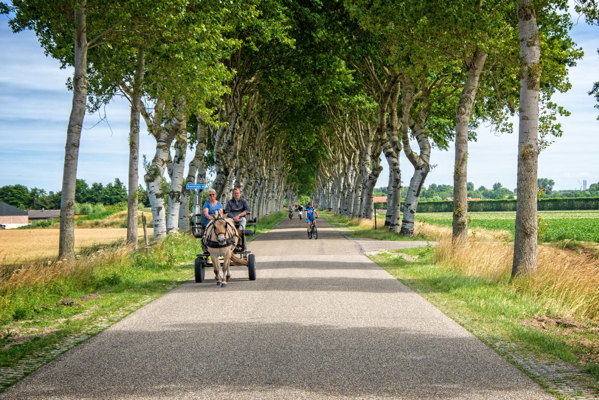 Zomer 2022
